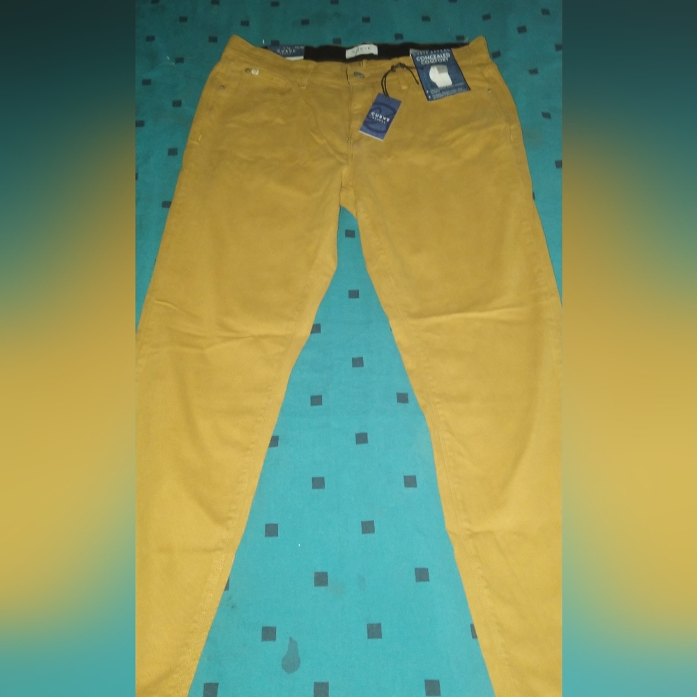 Women's curve appeal concealed comfort. size 10